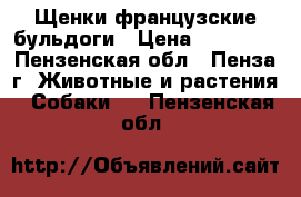 Щенки французские бульдоги › Цена ­ 18 000 - Пензенская обл., Пенза г. Животные и растения » Собаки   . Пензенская обл.